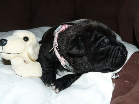 cecily_2_weeks.jpg cecily_2_weeks.jpg