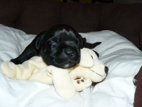cortez_2_weeks_3.jpg cortez_2_weeks_3.jpg