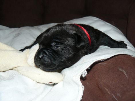tia_2_weeks_2.jpg tia_2_weeks_2.jpg